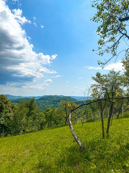 Cabana Galaxy A Frame by Cabanele Galaxy